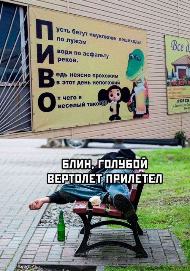 ���������� #2320586