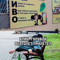 ���������� #2320586