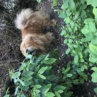 ��� ���