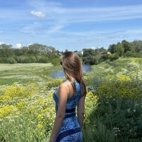 ���������� #2325179