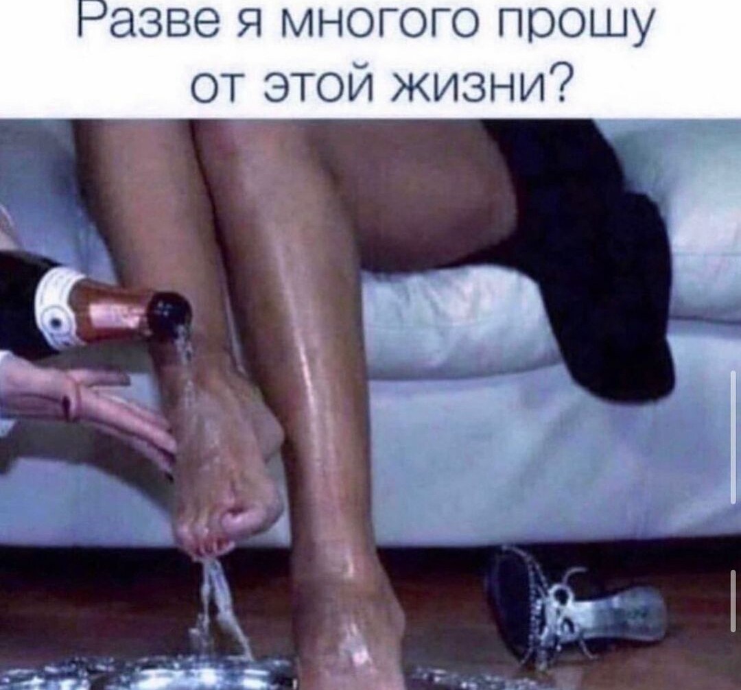 ���������� #2325516