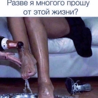���������� #2325516