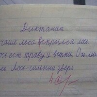 ���������� #2325605