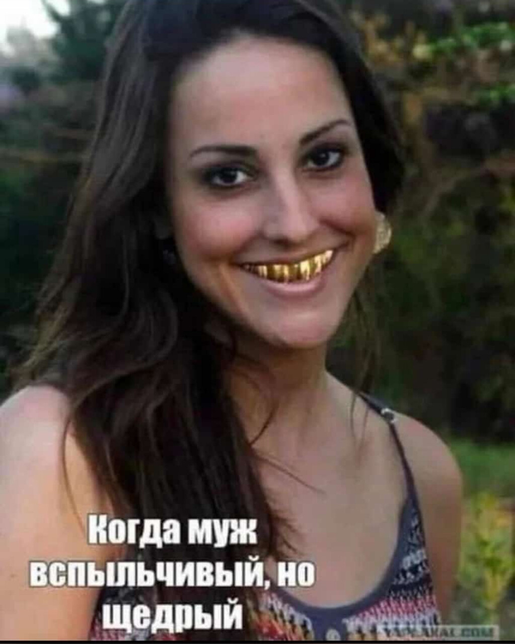 ���������� #2325608