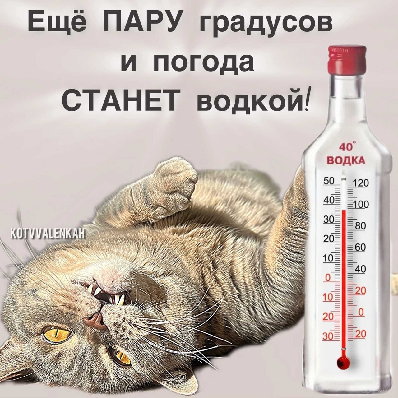 ���������� #2325742