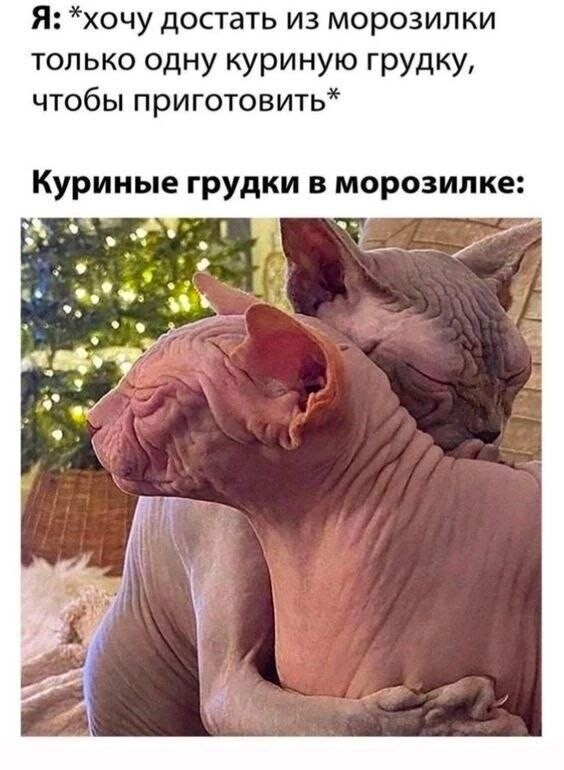 ���������� #2326429