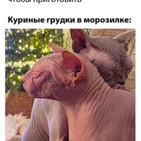 ���������� #2326429