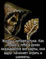 Prikol oT LIFE)))