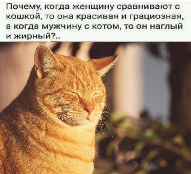 ���������� #2326975