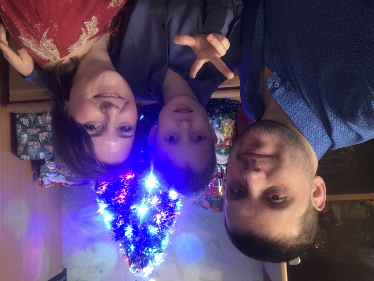 ���������� #2320725