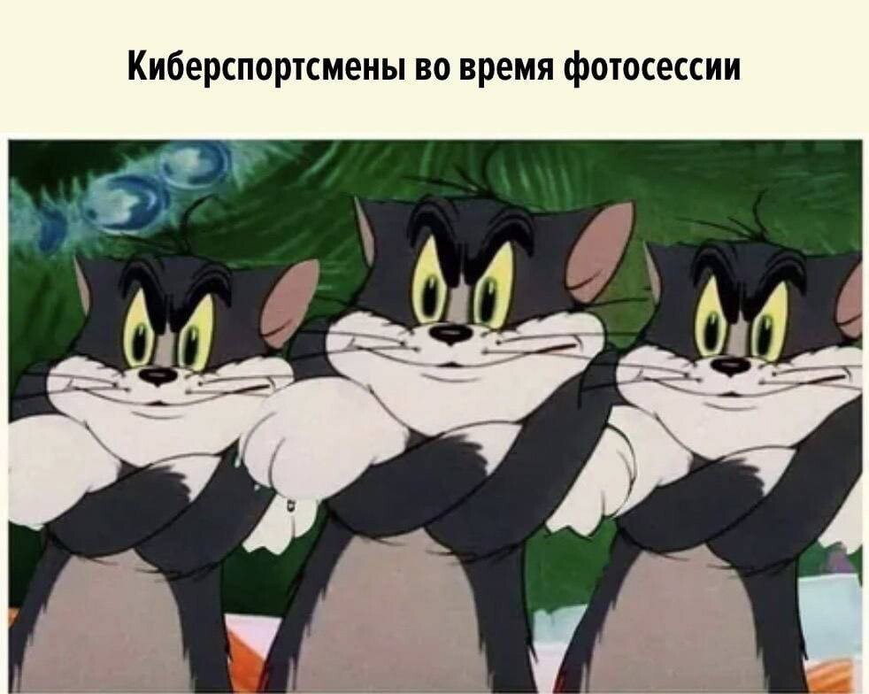 ���������� #2327146