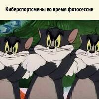 ���������� #2327146