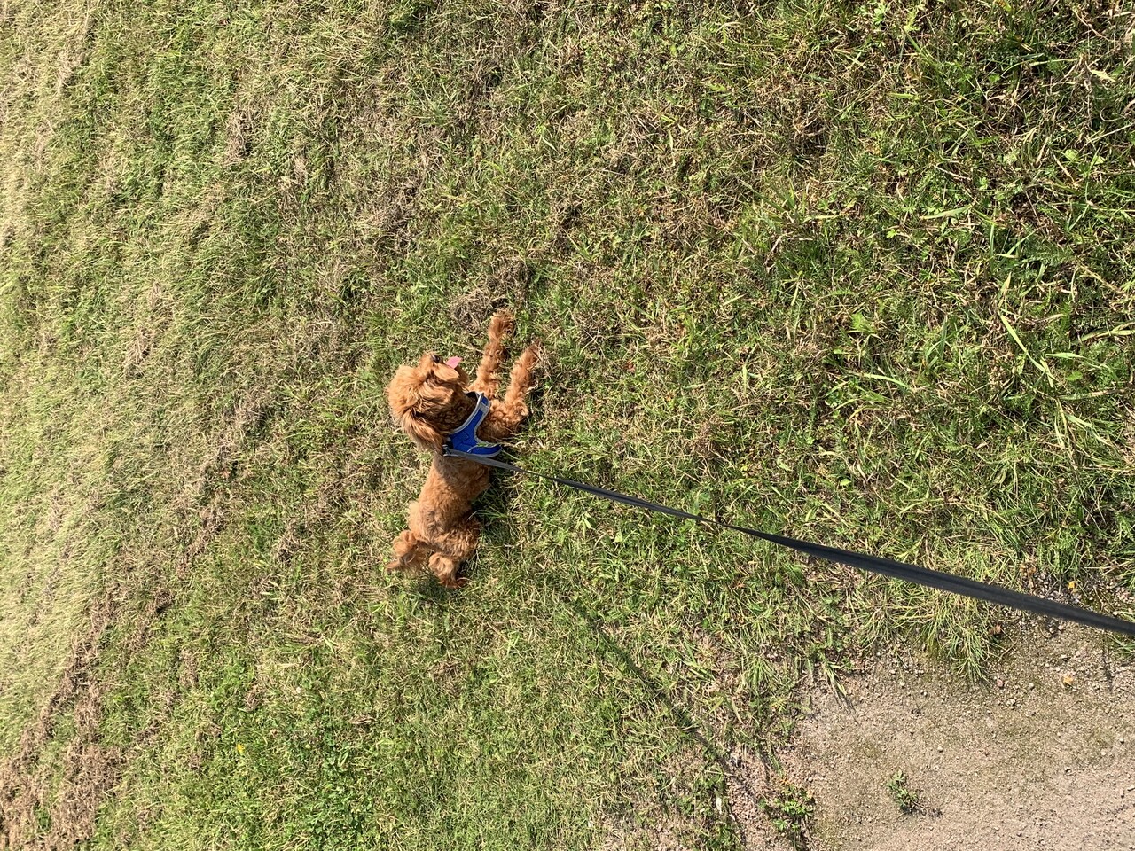 ���������� #2327167