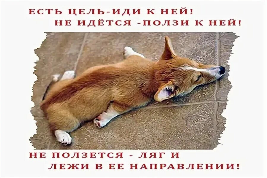 ���������� #2327933