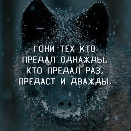���������� #2328179
