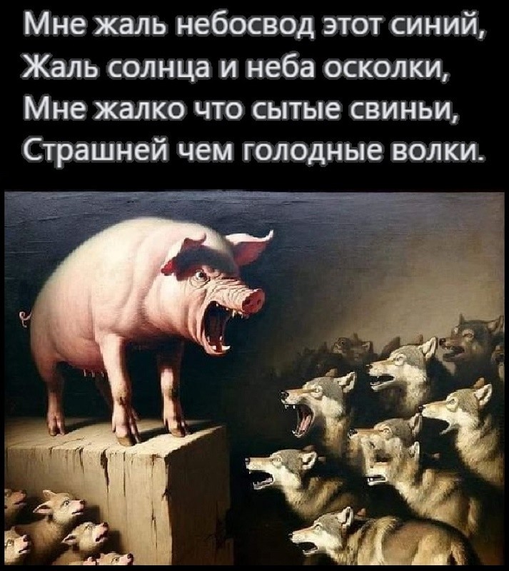���������� #2328180