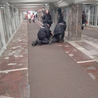 ���������� #2328372