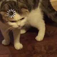 ���������� #2328423