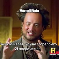 ���������� #2328575