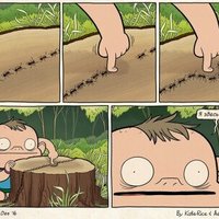 ���������� #2328695