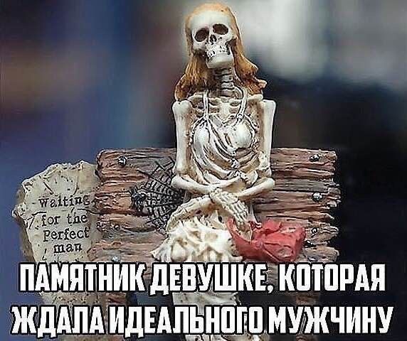 ���������� #2328773