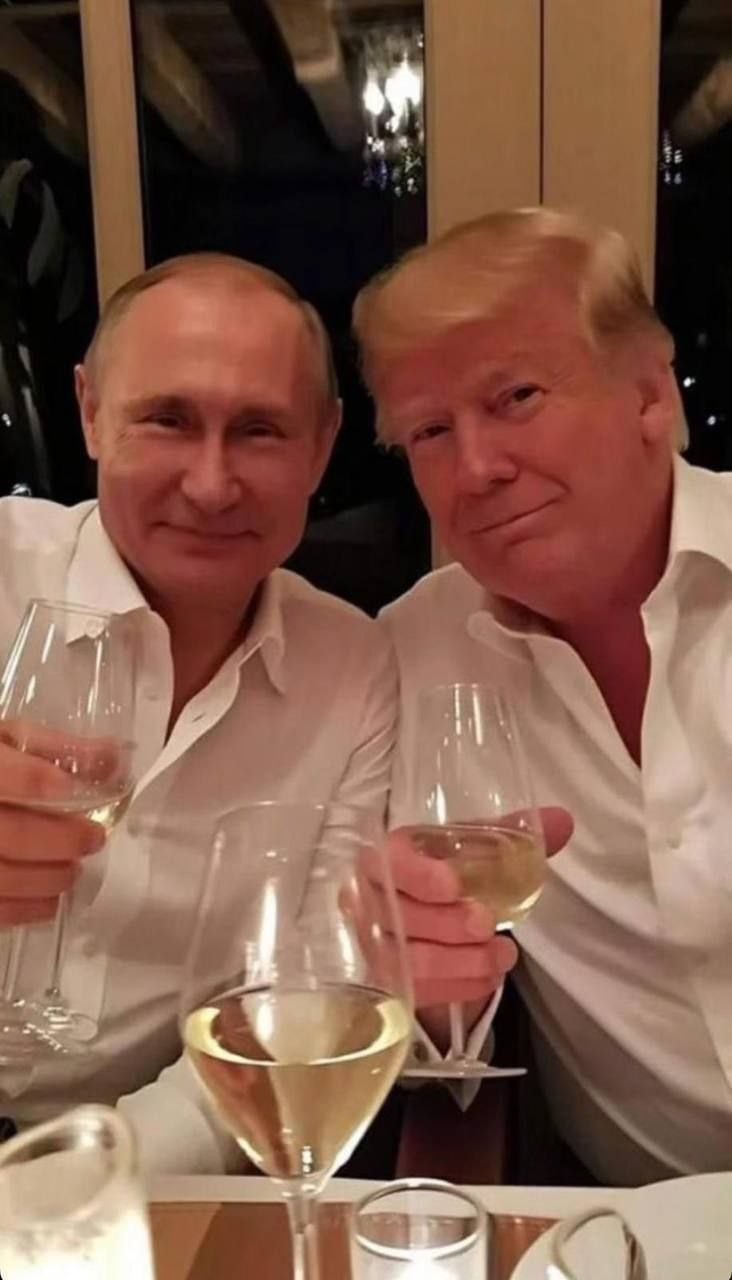 ���������� #2328905