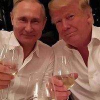 ���������� #2328905