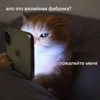 ���������� #2328931