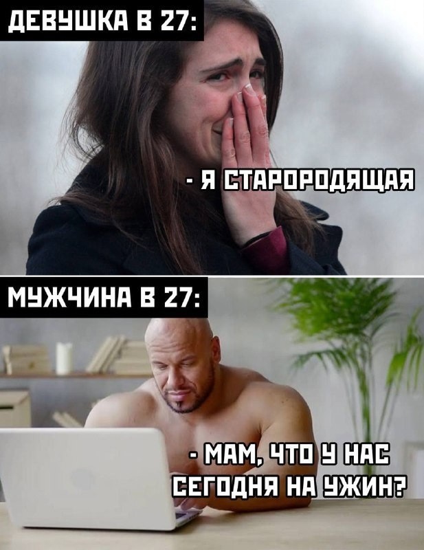 ���������� #2320908