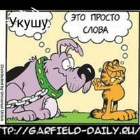 ���������� #2320922