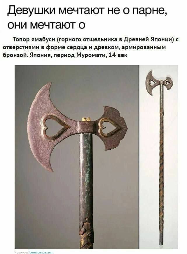 ���������� #2329014