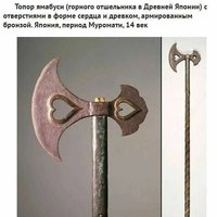 ���������� #2329014