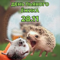28.11 :)