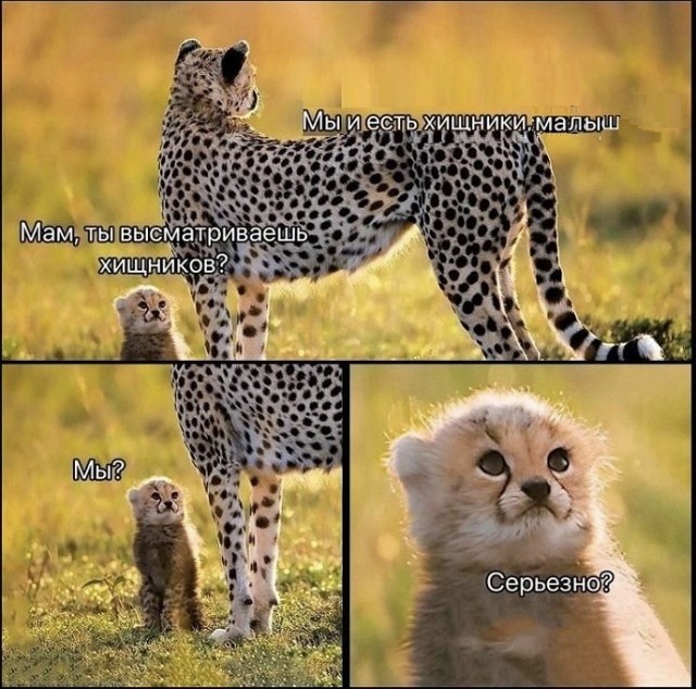 ��-��-��