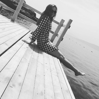 ���������� #2329498