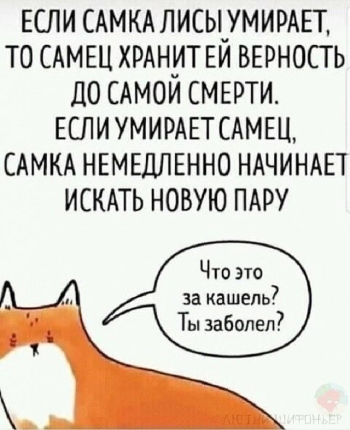 ���������� #2329512