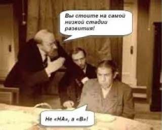 ���������� #2329758
