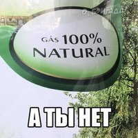 ���������� #2329780