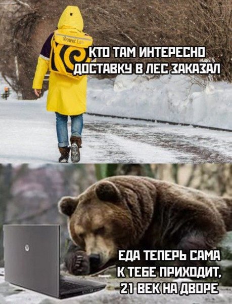 ���������� #2329891