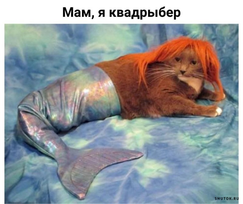 ���������� #2329892