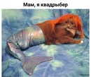 ���������� #2329892