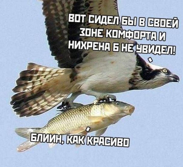 ���������� #2329895