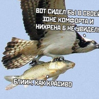 ���������� #2329895