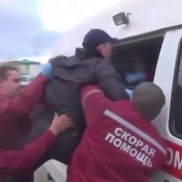 ���������� #2329981