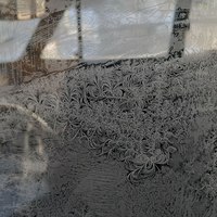 ������������ ��������