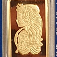PAMP Fortune