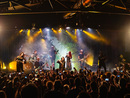 Eluveitie 2025
