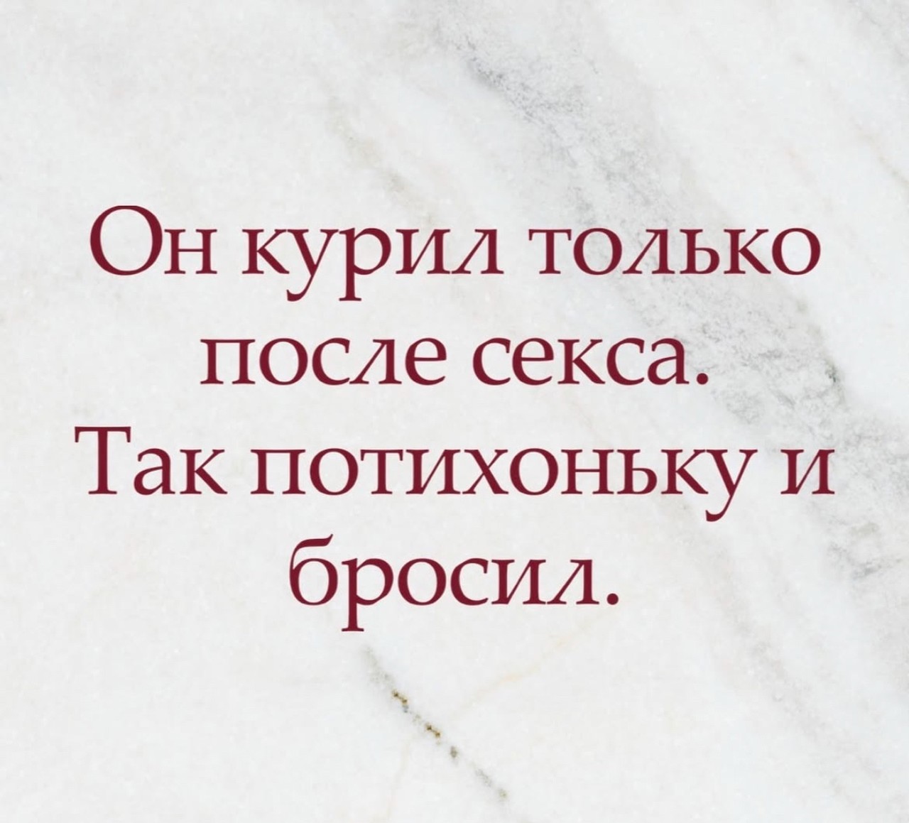 ���������� #2331402