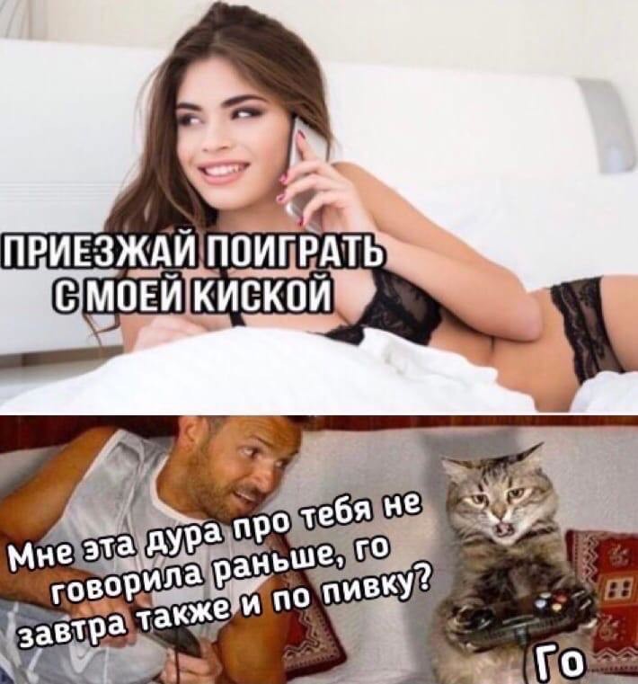 ���������� #2331446