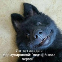 ���������� #2331542